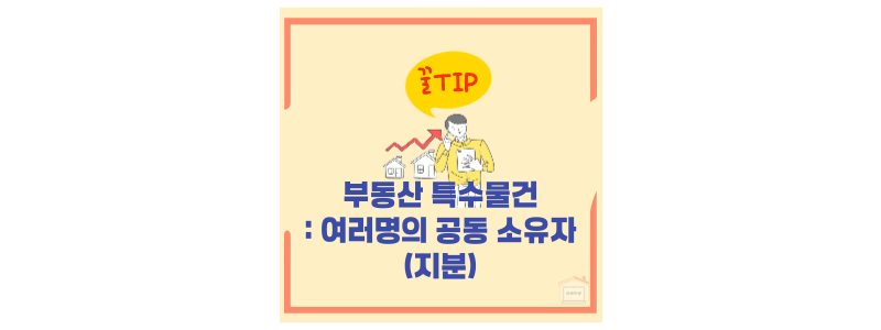 지분 부동산