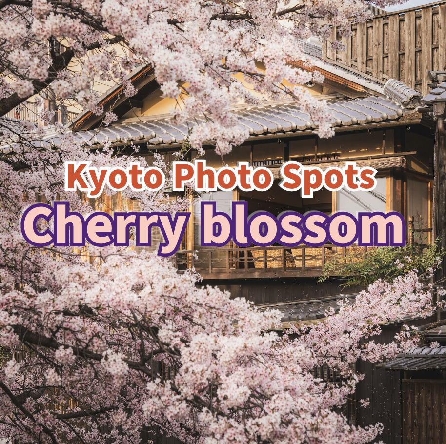 six must-visit cherry blossom photo spots in Kyoto for 2025