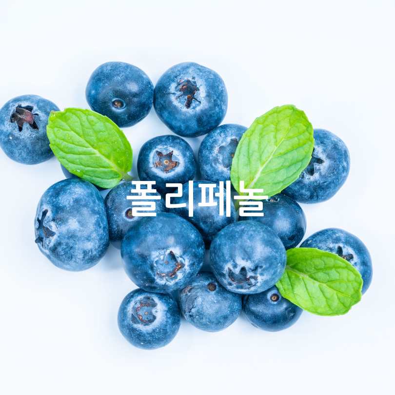 항산화영양제