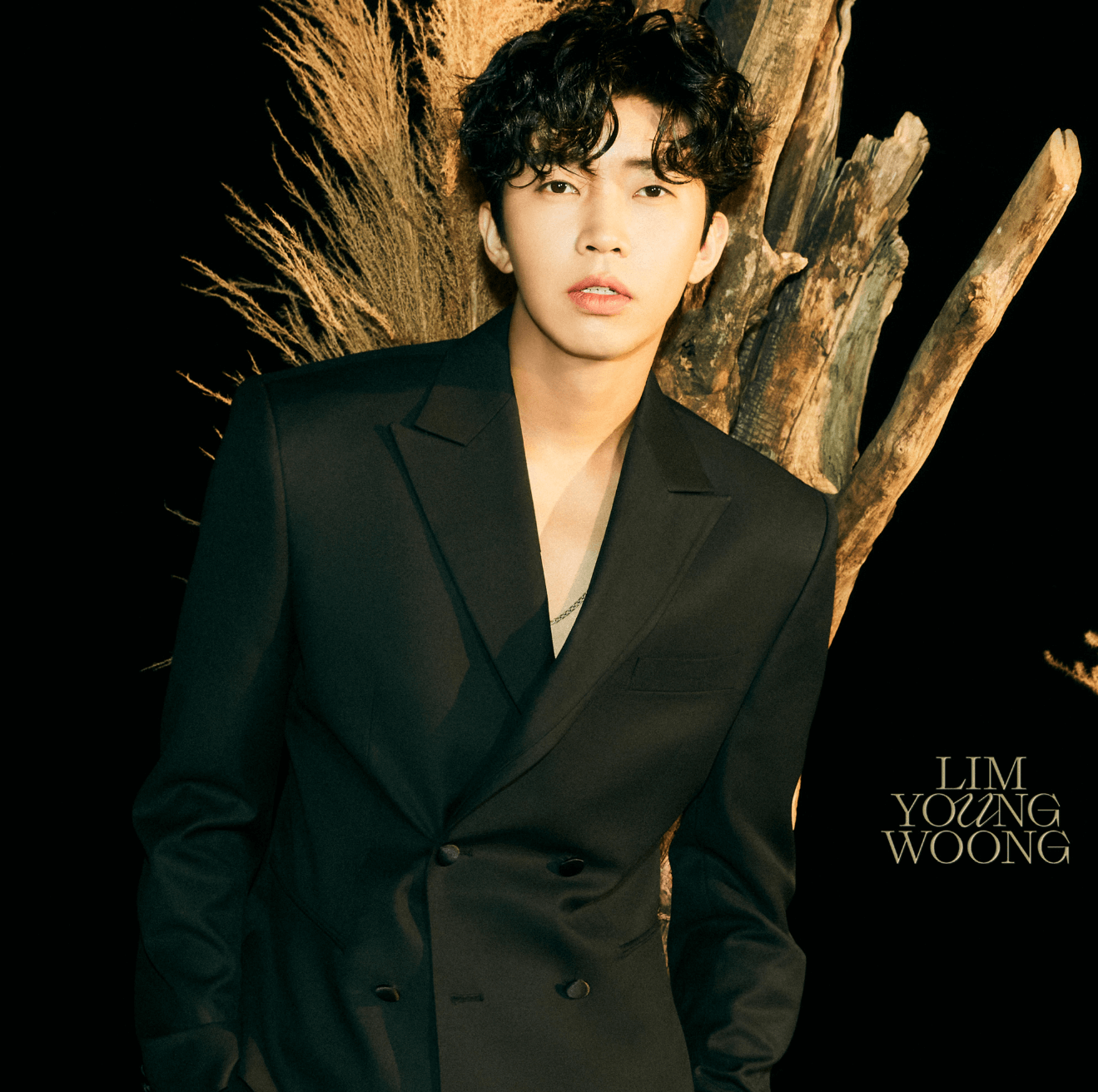 임영웅 콘서트 예매 일정 티켓팅 방법