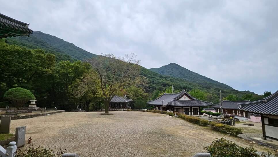 양평 사나사 : 용문산 천년 고찰이 품은 고요한 수행과 자연의 시간