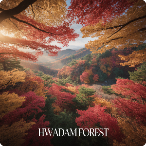  화담숲&middot;모노레일 예약 취소방법&middot;취소표 잡는 방법&middot;입장료 이미지