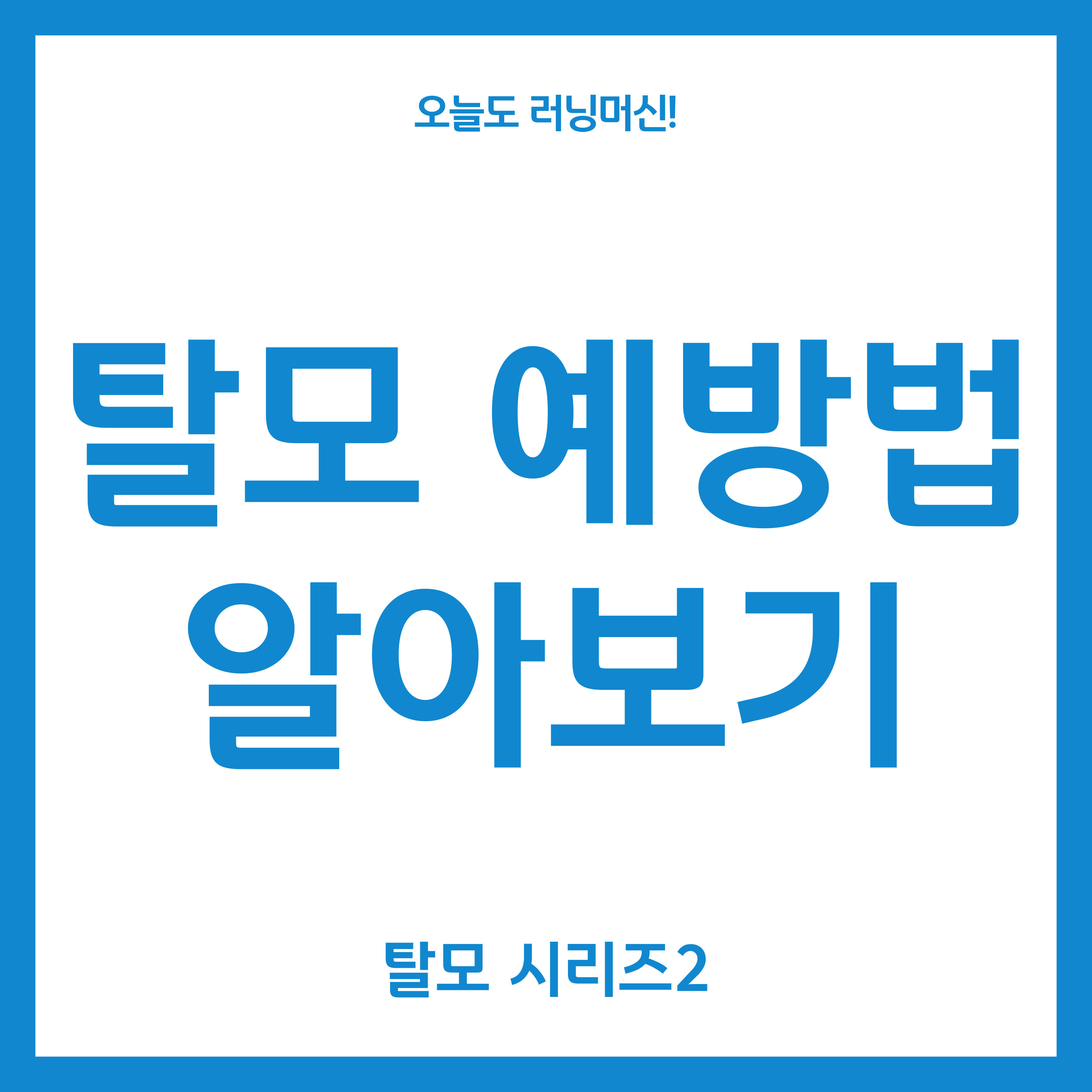 탈모 예방법 알아보기