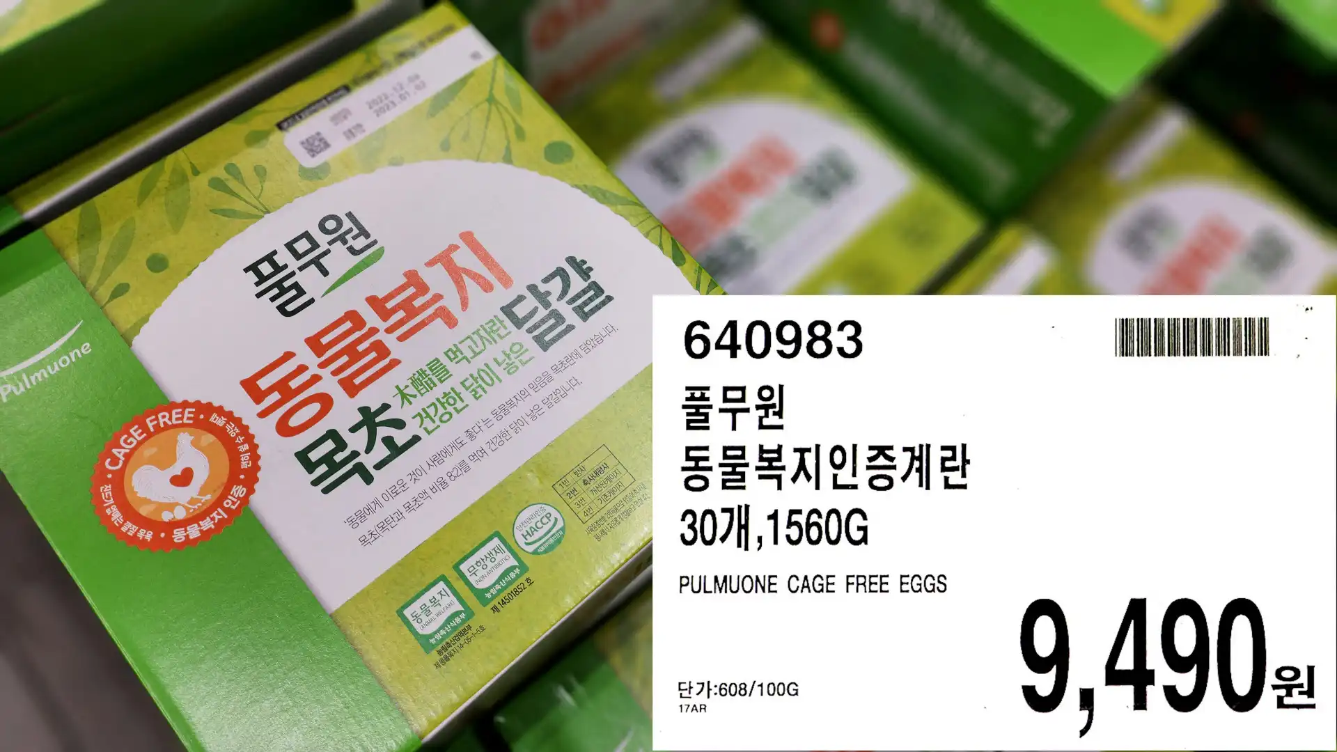 풀무원
동물복지인증계란
30개,1560G
PULMUONE CAGE FREE EGGS
단가:608/100G
9,490원