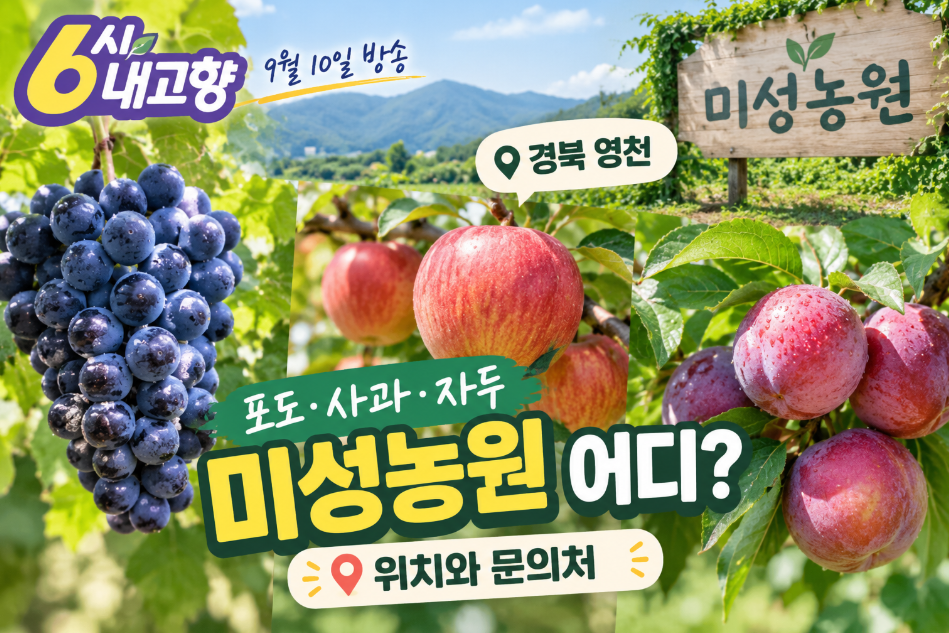 6시 내고향 영천 미성농원