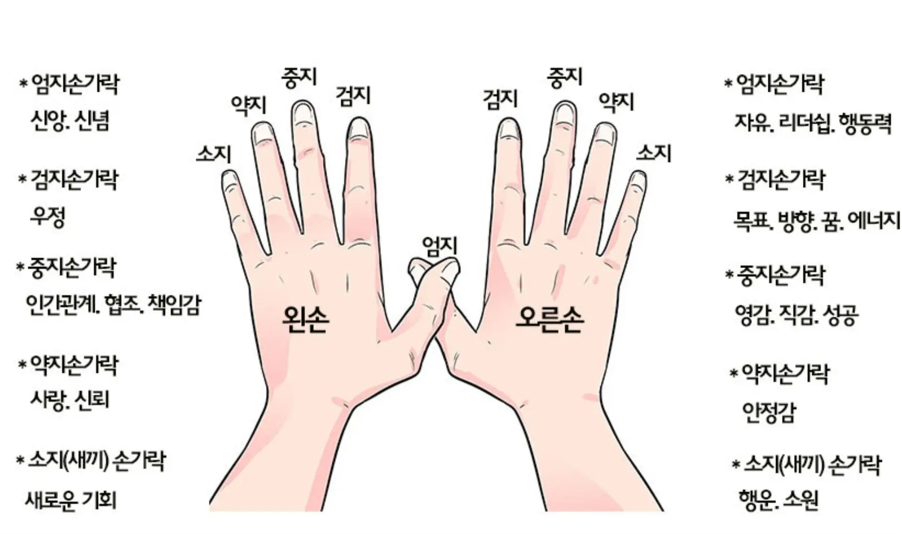 손가락별 반지 의미