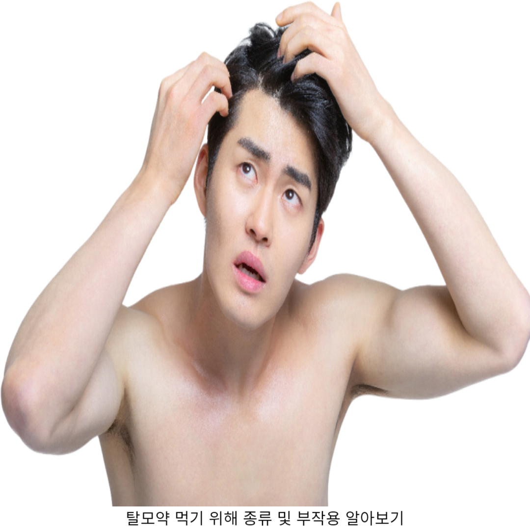 1. 탈모약 이란?