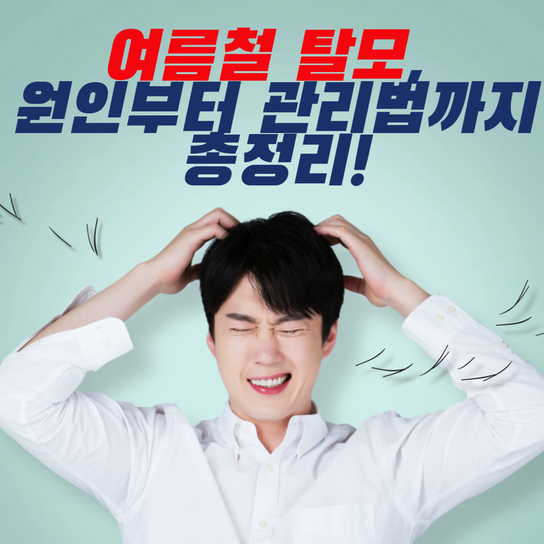 여름철 탈모, 원인부터 관리법까지 총정리! 머리 빠짐 막는 꿀팁