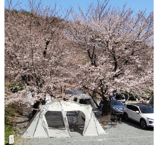 꽃구경 가볼만한 곳