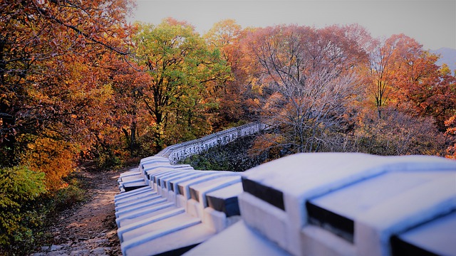 서울 단풍구경 가볼만한 곳