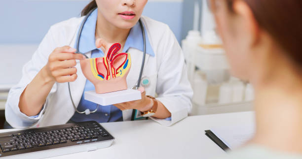 불감증, 지금 당장 극복 시작하세요!” 불감증의 증상·원인·치료 완전 정리