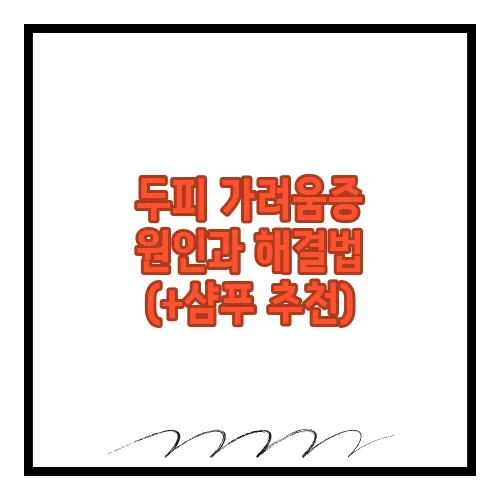 두피 가려움증 원인과 해결법 (+샴푸 추천)