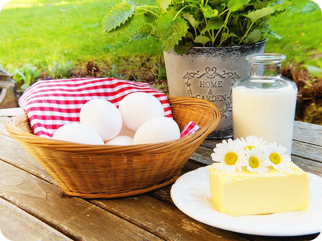 단백질 식품(Protein)