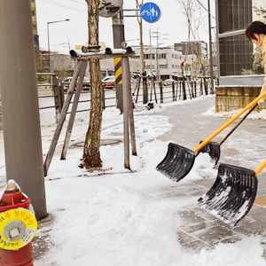제설 관련주 대장주 테마주 수혜주 TOP5