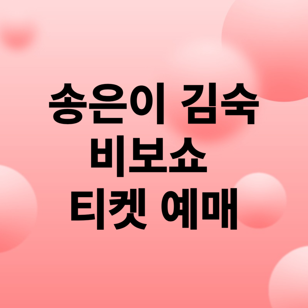 비보쇼 예매