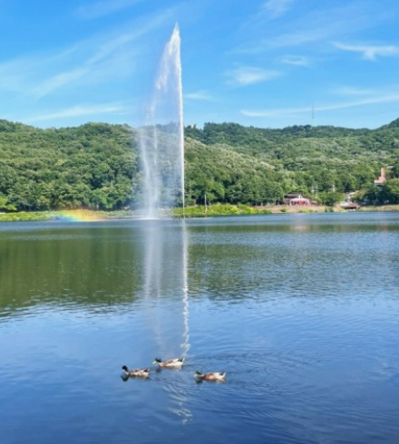 서울근교벚꽃명소