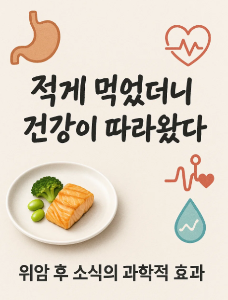 위암 수술 후 소식의 과학적 효과