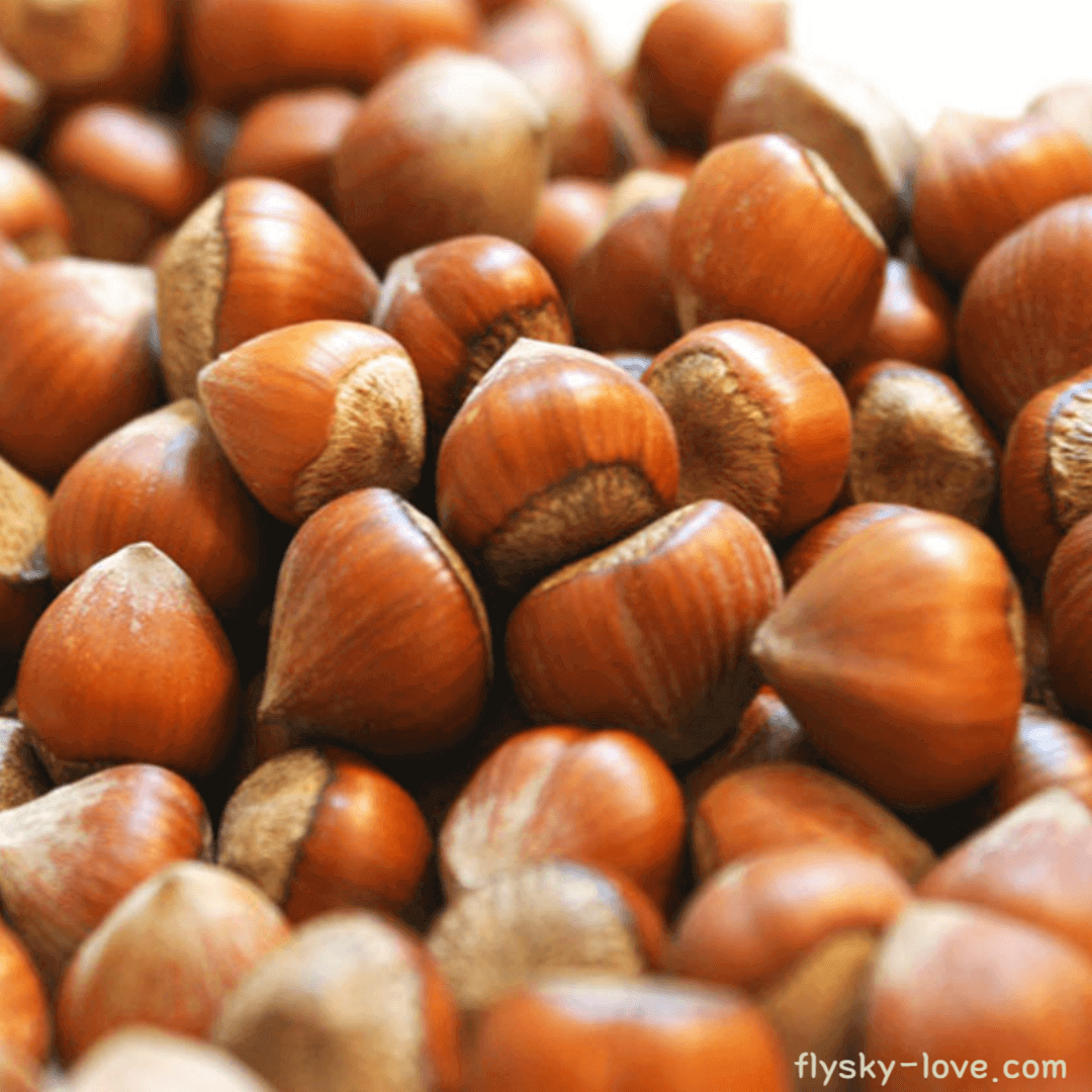 헤이즐넛 오일 효능