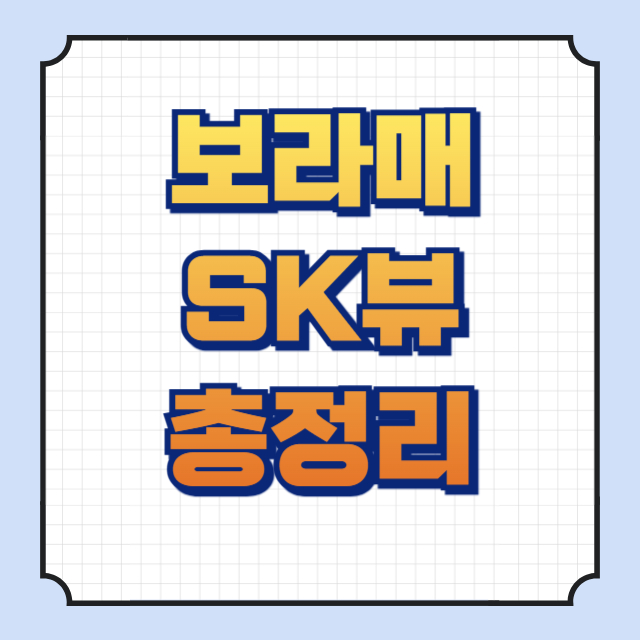 보라매SK뷰 썸네일 이미지입니다.