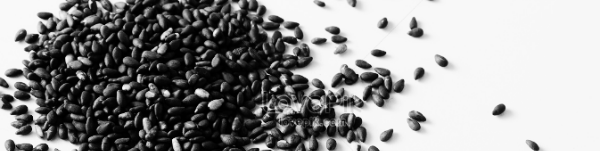 참깨 재배법: 파종 방법 (심는 방법)