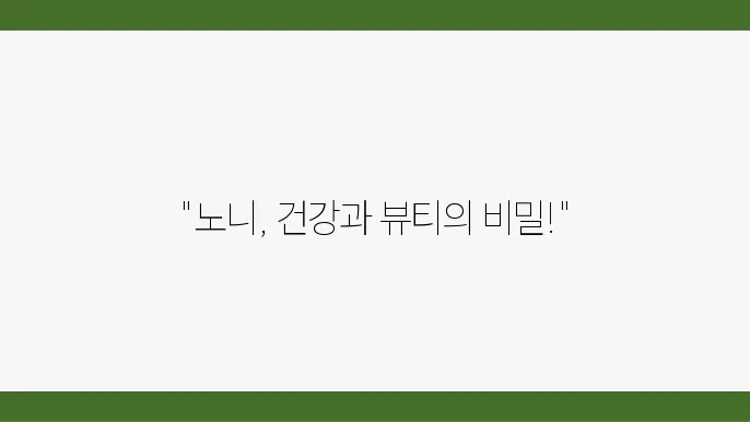 노니 뷰티 제품