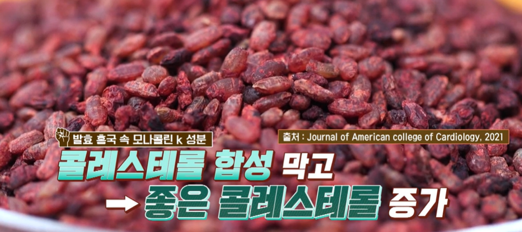 발효 홍국 효능