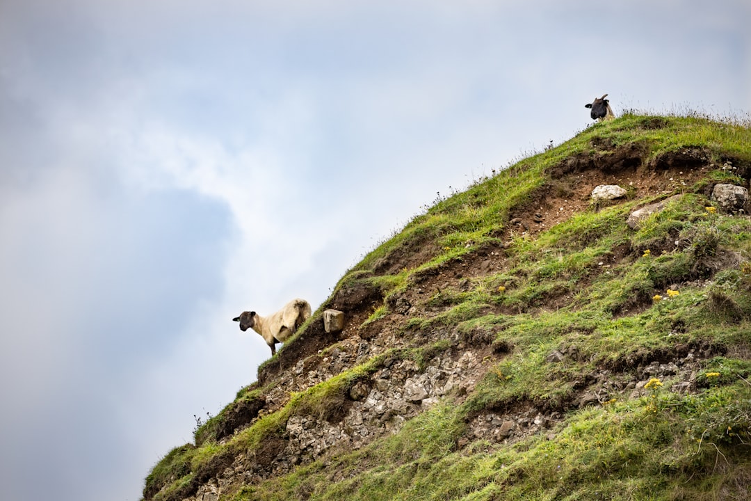 scaling