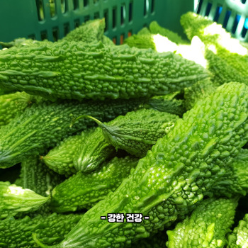 여주 영양성분