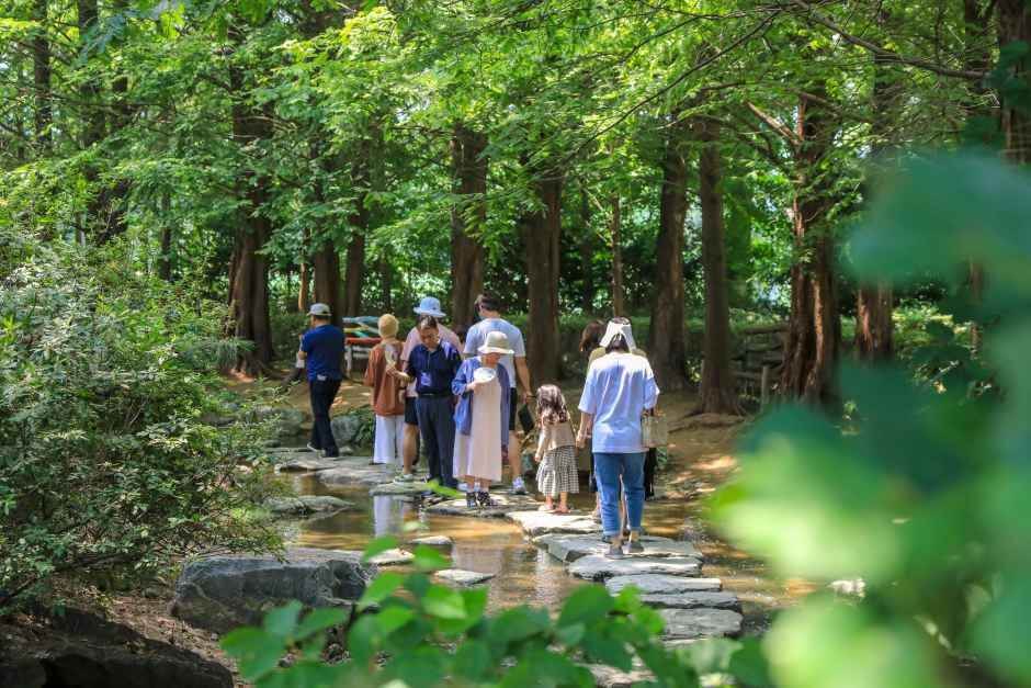 세미원 연꽃문화제 일정 입장료