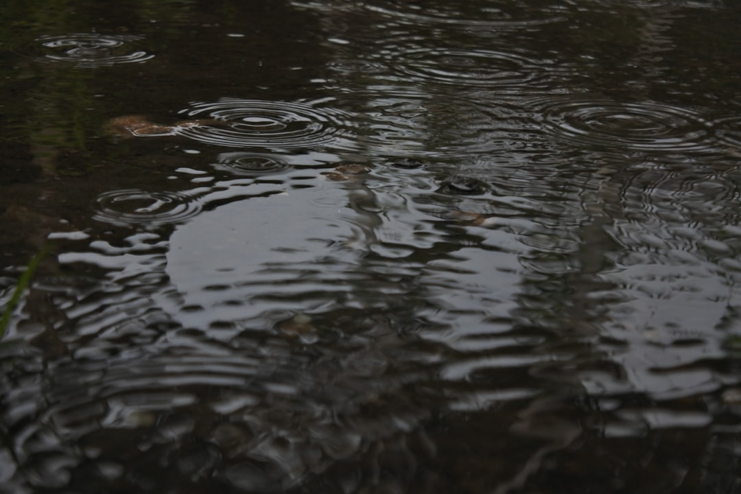 Puddle