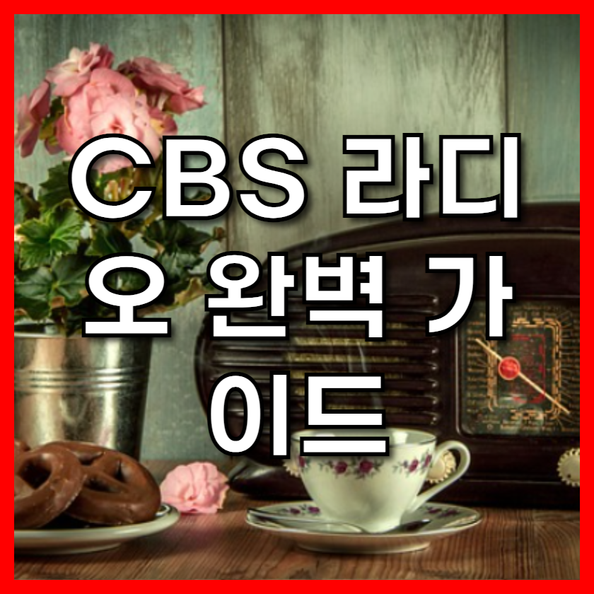 CBS 라디오 완벽 가이드: 다시듣기, 주파수, 편성표, 인기 프로그램 총정리 (2025 최신 업데이트)