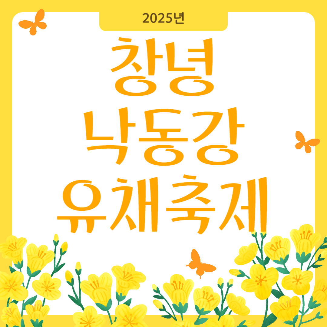 2025 창녕 낙동강 유채축제 총정리