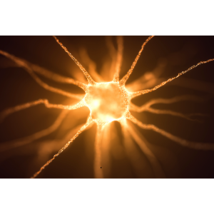 교모세포종의-증상과-치료법