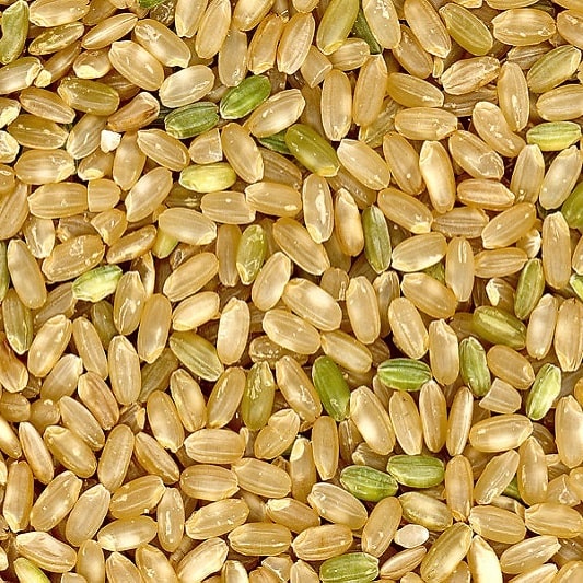 면역력 높이는 음식, 현미