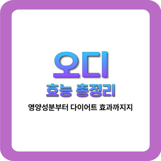오디 효능 총정리