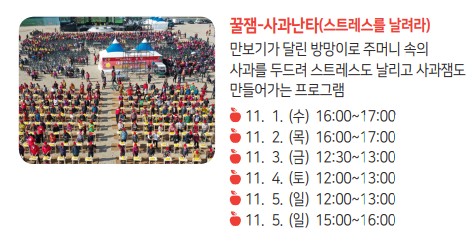 2023년 제 17회 청송 사과 축제