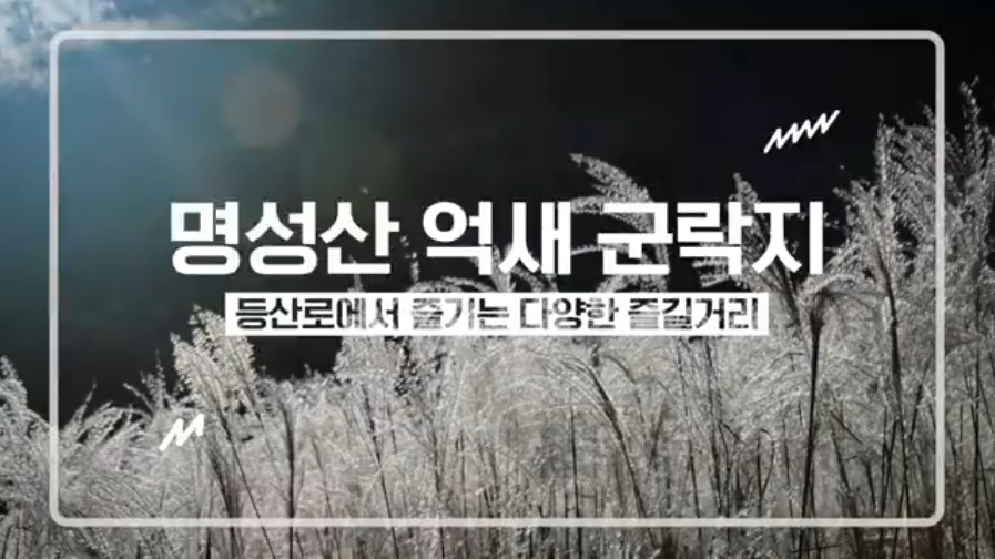 포천 산정호수 명성산 억새꽃축재