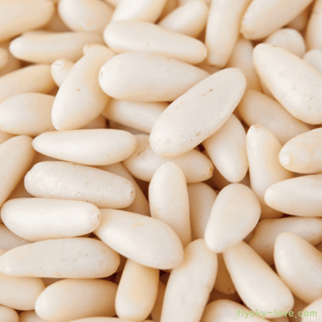 빈혈에 좋은 잣