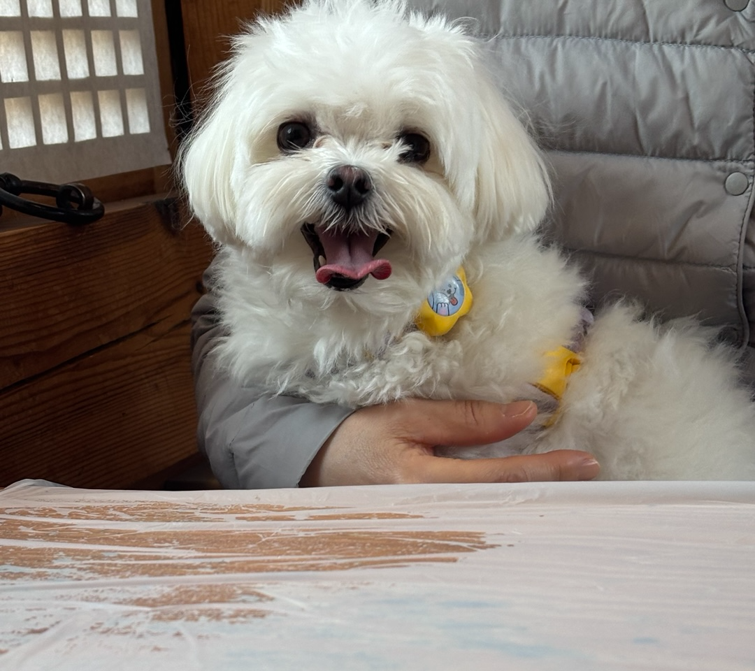 활짝 웃고 있는 송이