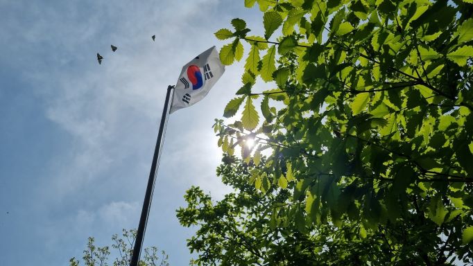 태극기 위로 날아 다니는 검은 나비 3마리,