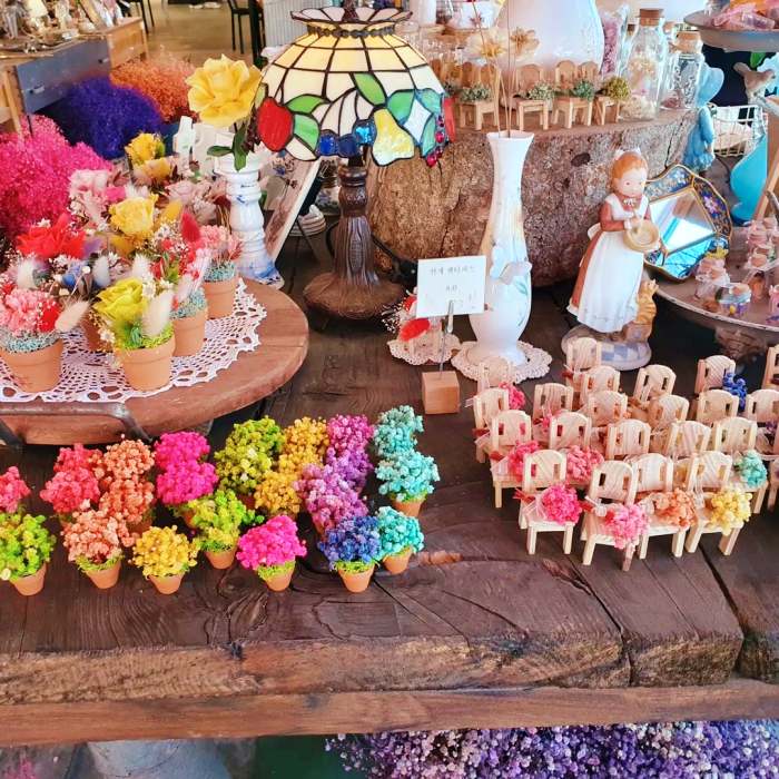 생방송오늘저녁 보령 대천 여행 바둑이네 동물원 미술관 허브랜드 모히또 허브꽃밥 디저트 플라워 카페