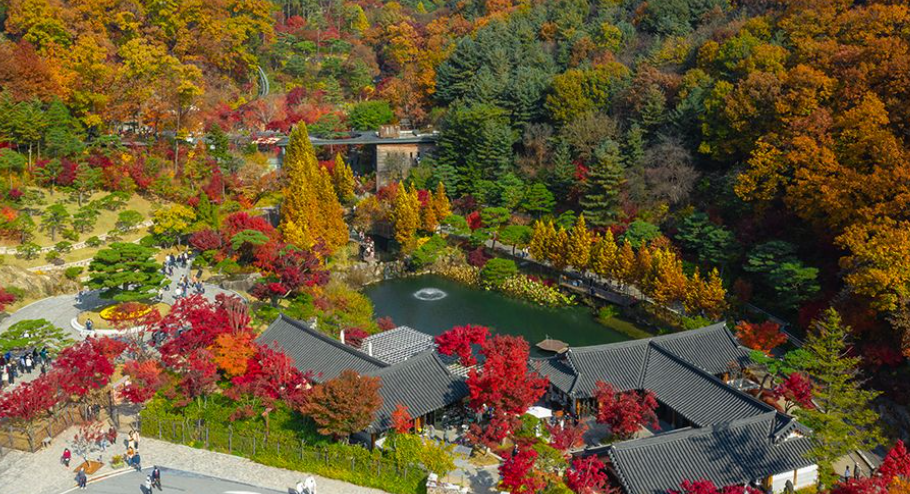 2025 경기도 단풍 명소 TOP5 관련사진