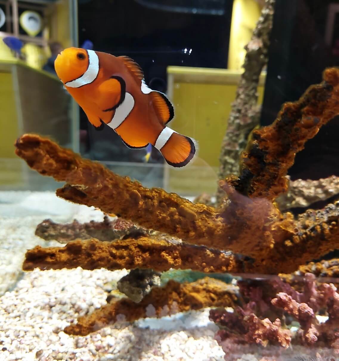 오사카 가족여행 추천코스 (아이와 가기 좋은 실내·야외 BEST 7)관련사진