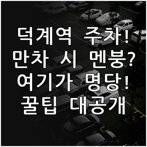 양주 회천신도시 덕계역 주차 공간과 ..