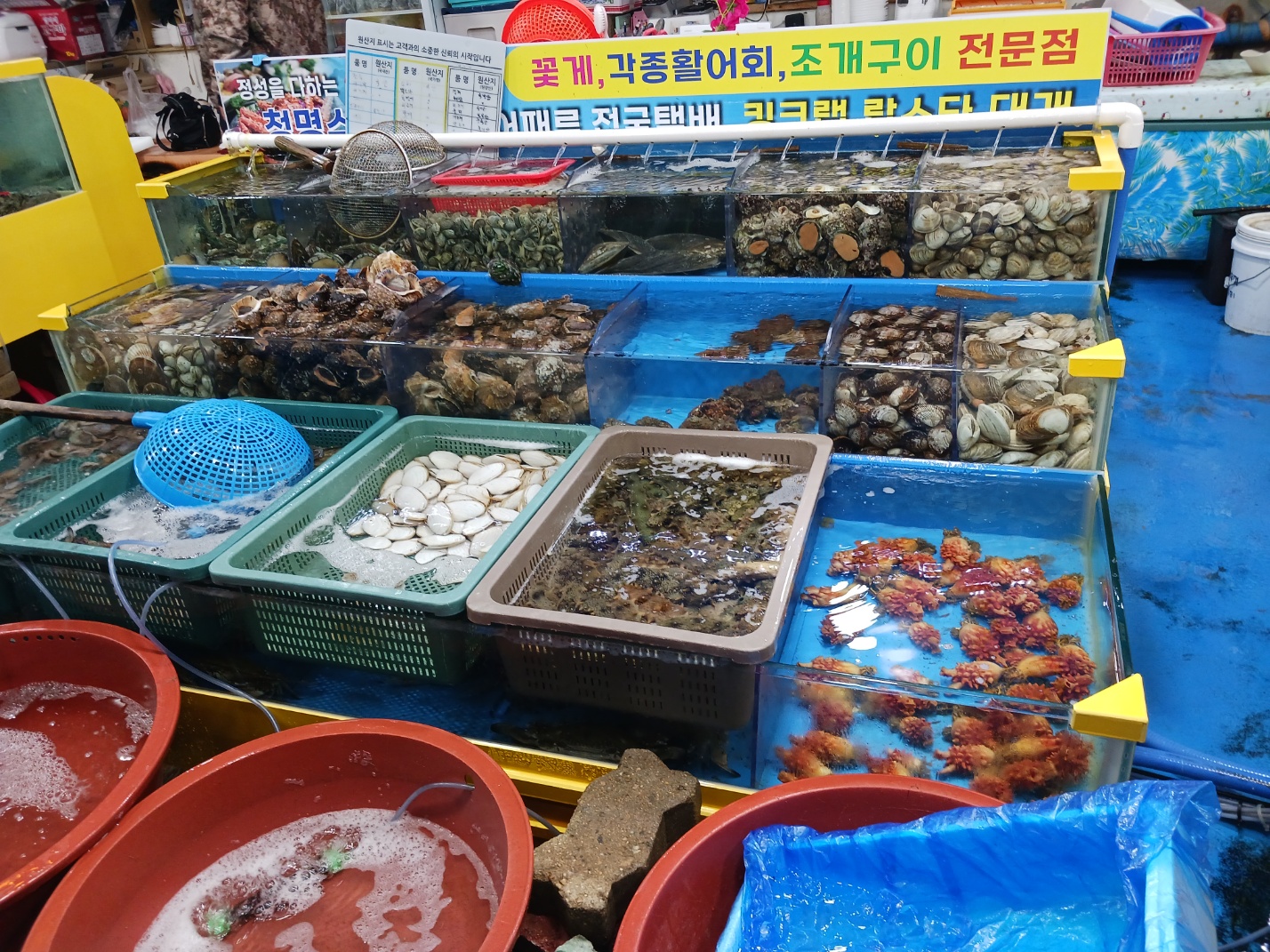 삽교호전망대종합어시장