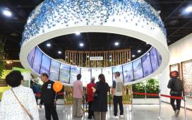 함평나비대축제