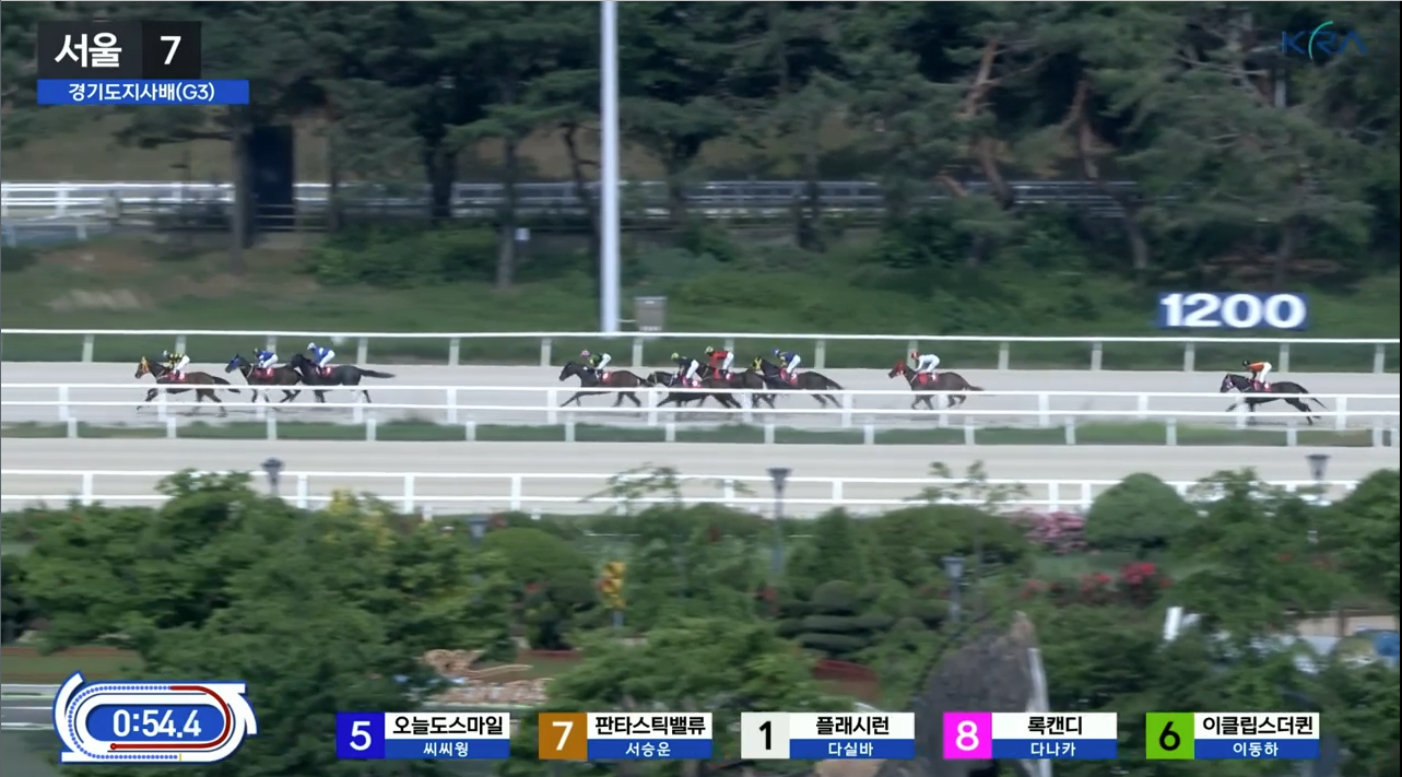 경기도지사배 경주 중반을 향해 달리는 경주마들