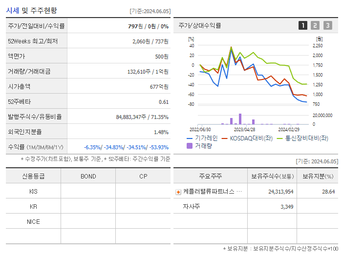 기가레인_기업개요