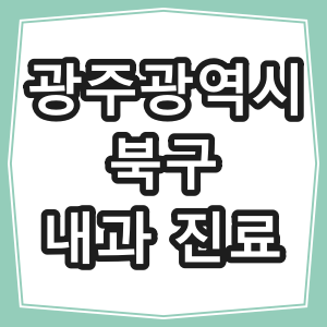 광주광역시 북구 호흡기, 내과 진료 동네 병원