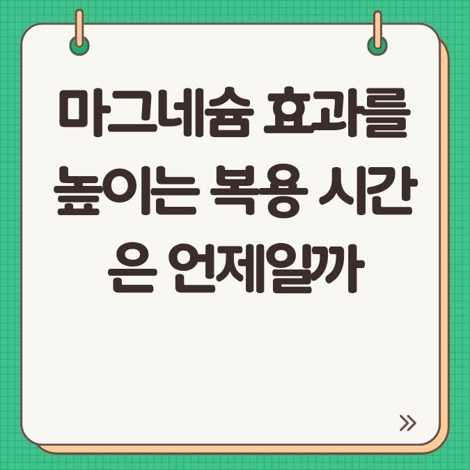 마그네슘 효과를 높이는 복용 시간은 언제일까